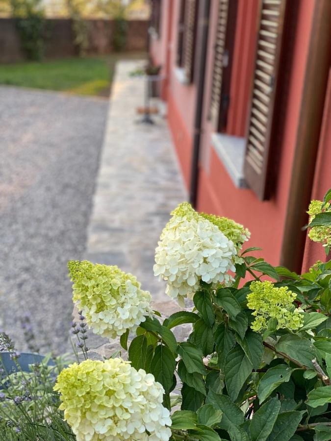 مانديلو ديل لاريو Il Mallo Verde - Lake Como B&B المظهر الخارجي الصورة
