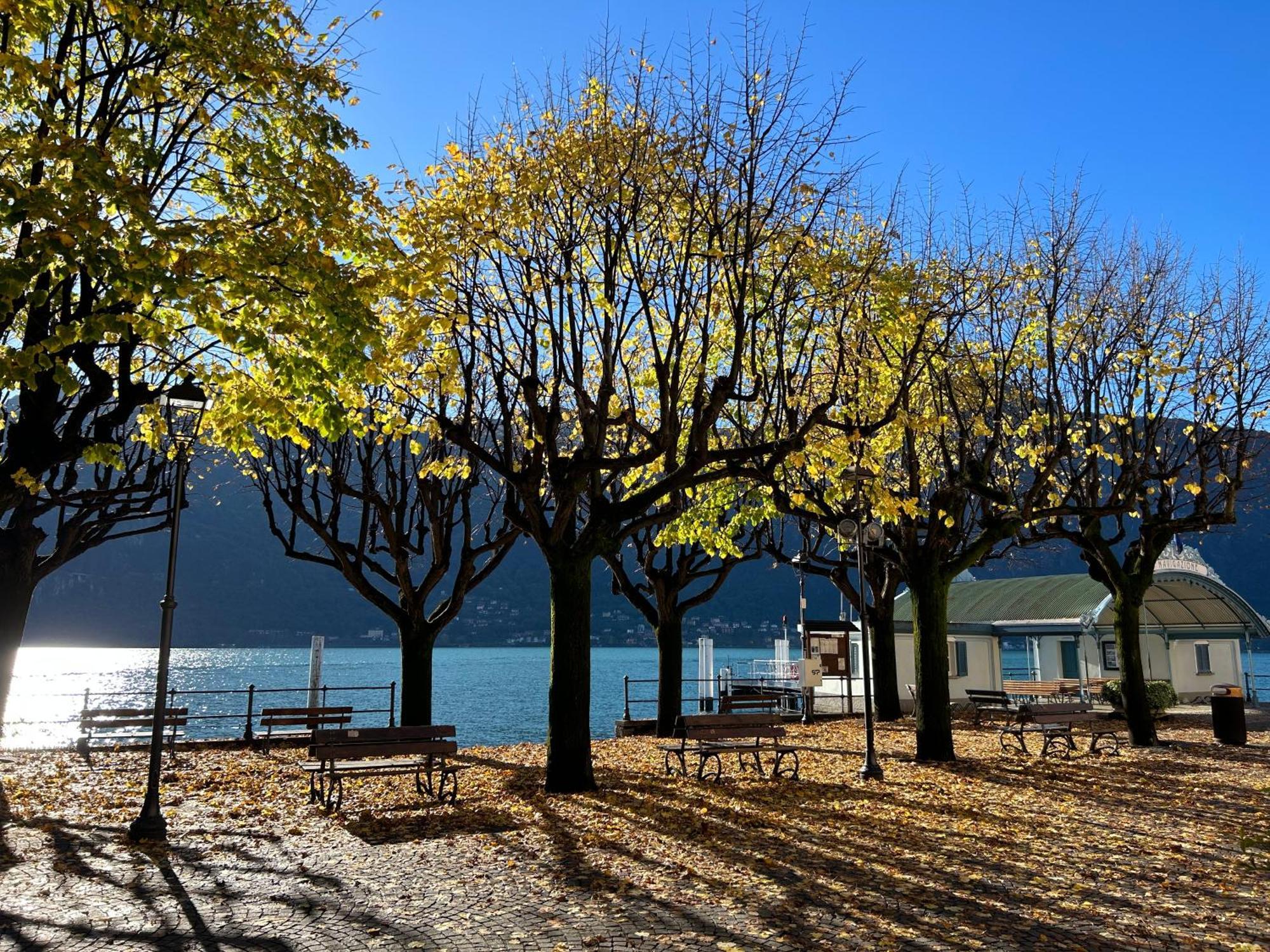 مانديلو ديل لاريو Il Mallo Verde - Lake Como B&B المظهر الخارجي الصورة