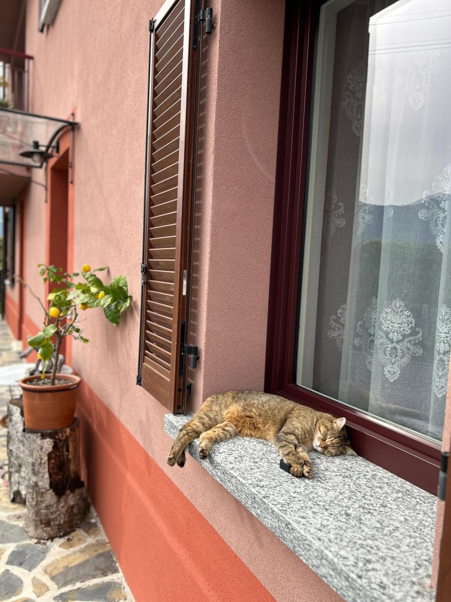 مانديلو ديل لاريو Il Mallo Verde - Lake Como B&B المظهر الخارجي الصورة